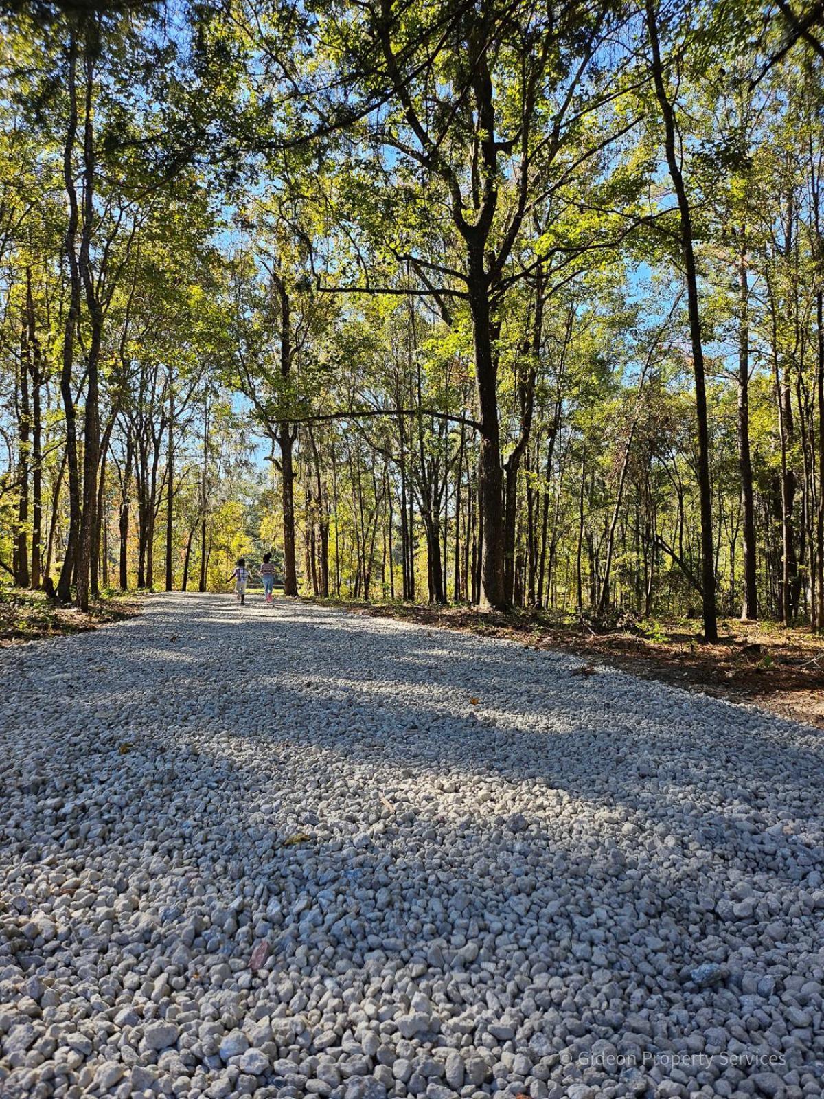 3/2 Uf Wooded Paradise Retreat Gainesville Exterior photo