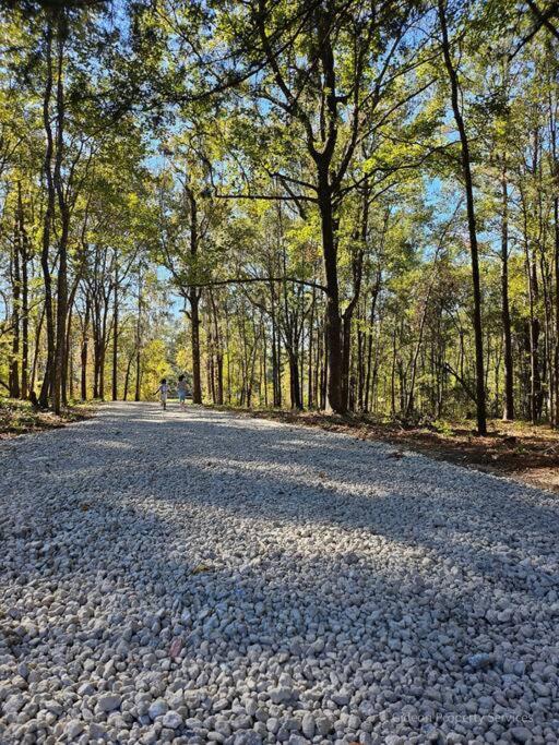 3/2 Uf Wooded Paradise Retreat Gainesville Exterior photo